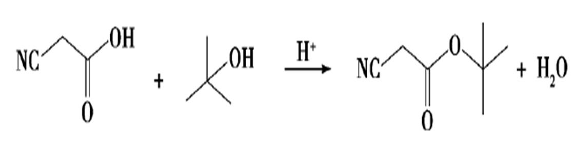 圖2 氰乙酸叔丁酯的合成路線