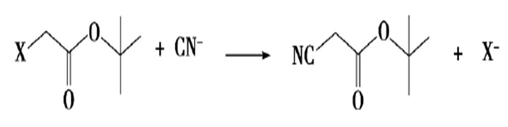 圖3 氰乙酸叔丁酯的合成路線
