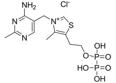 焦磷酸硫胺素的化學(xué)結(jié)構(gòu)式