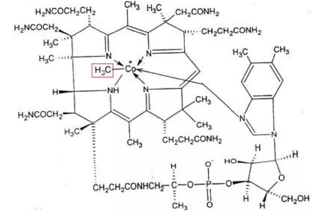 維生素 B12