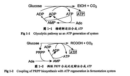 5'-三磷酸腺苷合成法1.png