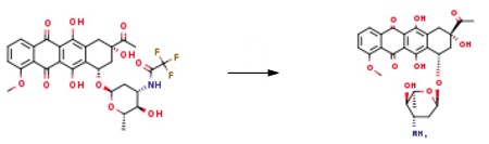 Epirubicin EP Impurity F