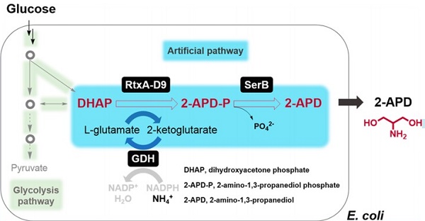 2-Amino-1,3-propanediol