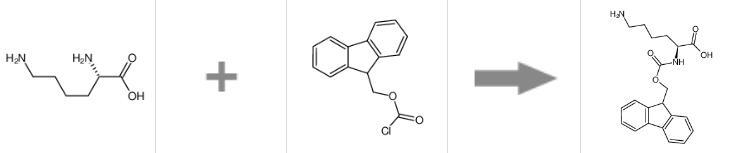 圖1 FMOC-賴氨酸的合成反應式.png
