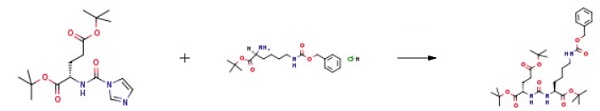 H-LYS(Z)-OTBU HCL