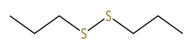圖1二丙基二硫的結(jié)構(gòu)