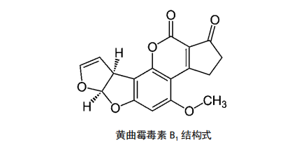 黃曲霉毒素 B1