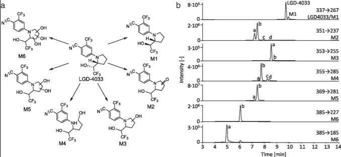 Figure. 1 a Structures of LGD-4033 and main metabolites, and b extracted ion chromatograms of LGD-4033 and selected metabolites in a sample after the ingestion of five doses of 50 μg of LGD-4033