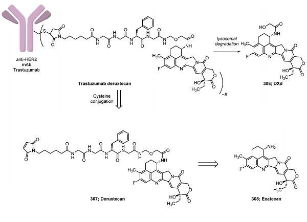 Trastuzumab Deruxtecan