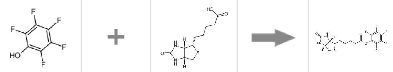 圖1 五氟苯酚生物素酯合成反應(yīng)式.jpg