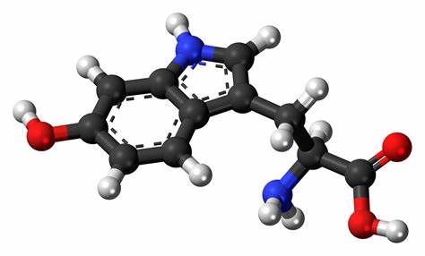 5-羥基色氨酸的功效和作用