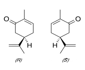 香芹酮的兩種異構(gòu)