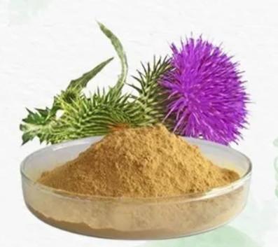 Milk Thistle Extract