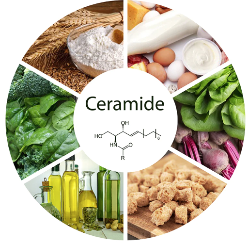 Ceramides