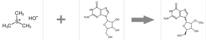 圖1 2'-甲氧基鳥(niǎo)苷合成反應(yīng)式.png