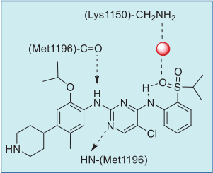 Figure 4. Summary of ceritinib–ALK interactions  based on the co-crystal structure.