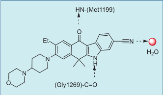 Figure 3. Summary of alectinib–ALK interactions  based on the co-crystal structure