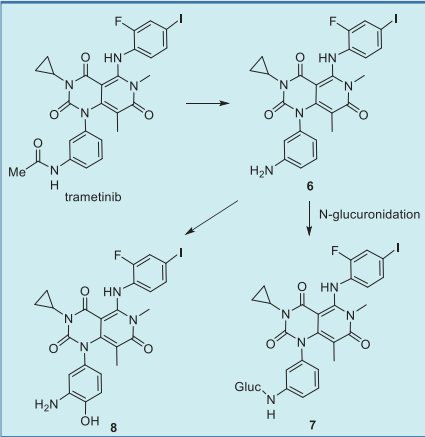 Major metabolic pathway of trametinib in  humans.