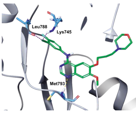 Gefitinib