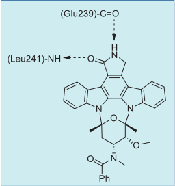 Figure 2. Summary of midostaurin–human DYRK1A interactions based on their co-crystal structure.