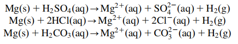 Magnesium reaction with acids