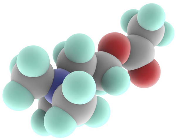 Acetylcholine