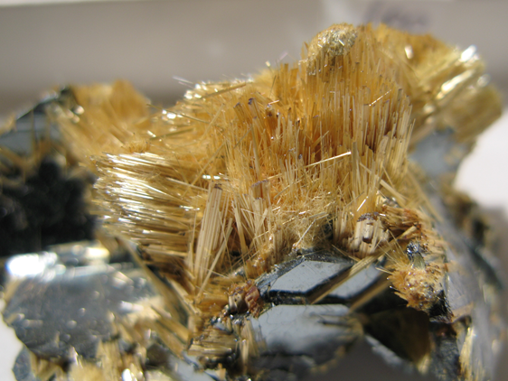 Rutile crystals