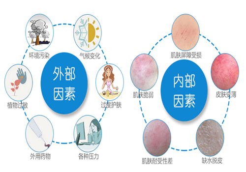 4-叔丁基環(huán)己醇：敏感肌膚的“福星”