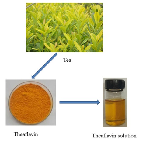 紅茶中的“軟黃金”—茶黃素