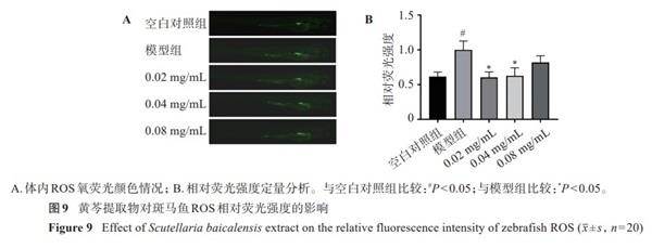 2',7'-二氯熒光素二乙酸酯的應(yīng)用-2.jpg