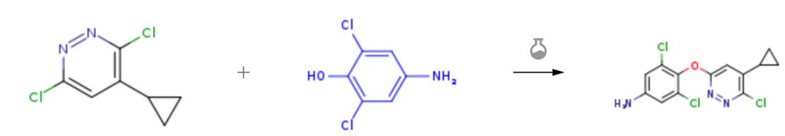 2,6-二氯-4-氨基苯酚的親核取代反應(yīng)