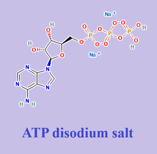 ATP disodium salt