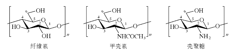 殼聚糖