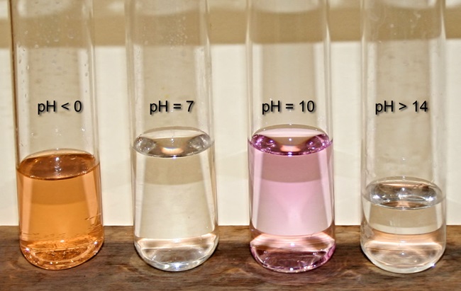 Phenolphthalein