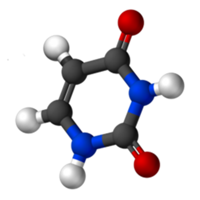 Uracil