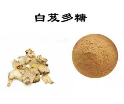 白芨多糖的功效作用與提取方法