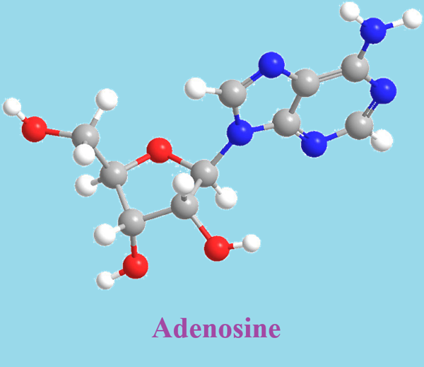 Adenosine