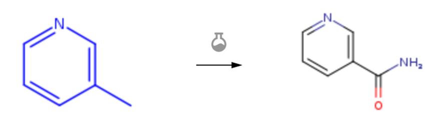 3-甲基吡啶的酰胺化反應(yīng)