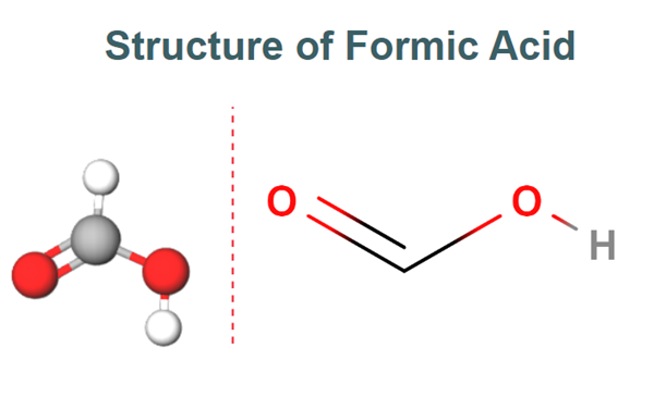 Formic acid