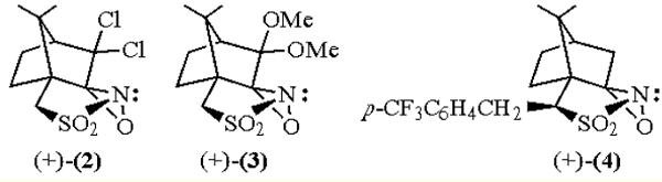 (1S)-( )-(Camphorylsulfonyl)oxaziridine