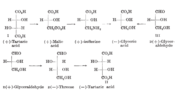 D-(-)-Tartaric Acid and D(+)-tartaric acid