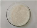 PROCAINAMIDE HYDROCHLORIDE