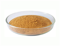 Rhodiola Extract 3%extract 