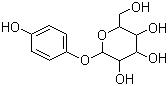 Molecular Structure of 497-76-7 (Arbutin)