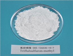 Triflusulfuron-methyl