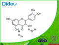 Quercetin dihydrate USP/EP/BP