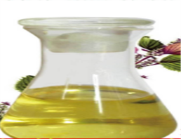 Purple Perilla Seed Oil