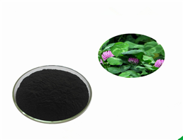 Isoflavone Red Clover P.E