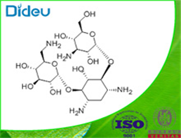 KANAMYCIN USP/EP/BP