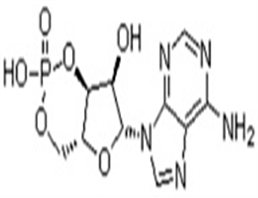 	Adenosine 3',5'-cyclic monophosphate (CAMP)